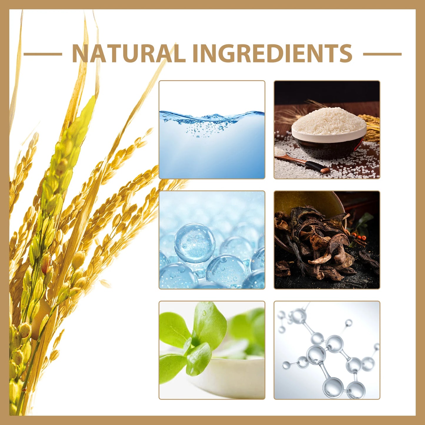 Rice Facial Toner Skincare